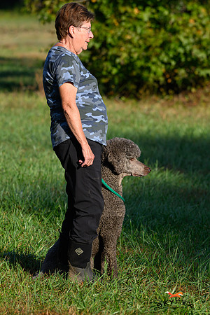 Poodle Event 2930-