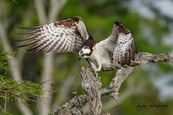 Takeoff! 2-