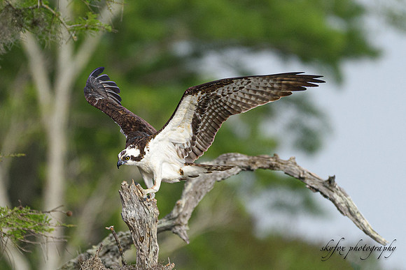 Takeoff!-