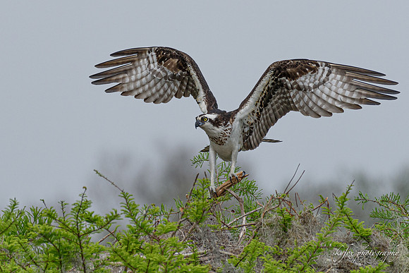 This Stick Is Mine!-1600