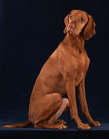 Nellie-3295