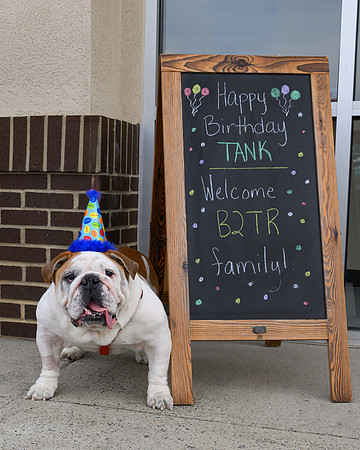 2168 Tank -